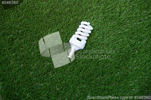 Image of Energy saving bulb in the grass