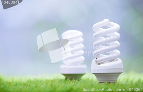 Image of Energy saving bulbs in the grass