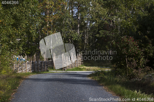 Image of country lane