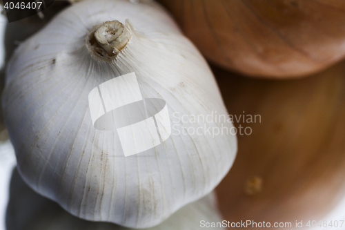 Image of garlic