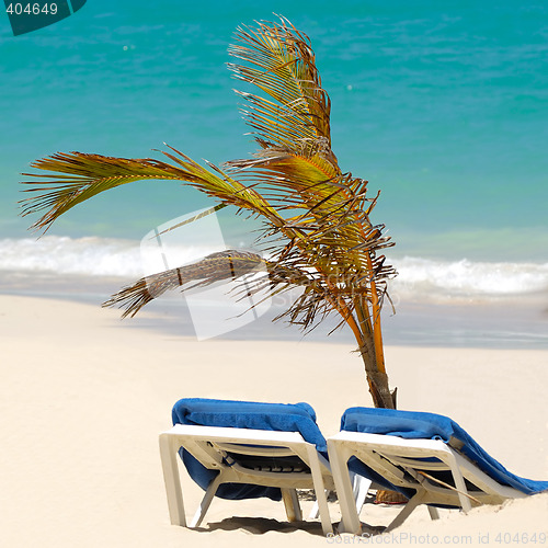Image of Sun lounger and palm at exotic beach