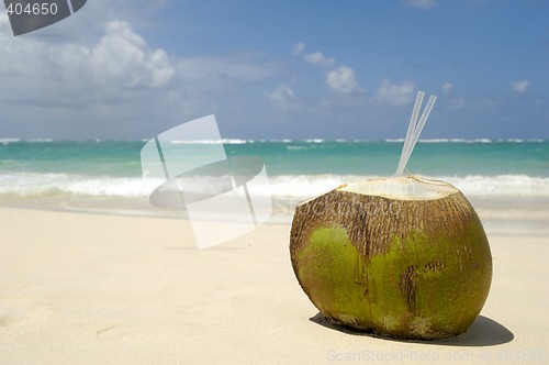 Image of Coconut drink on exotic beach
