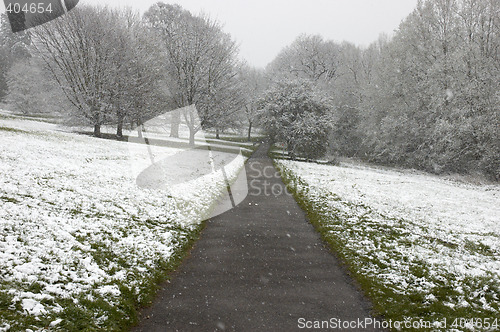 Image of Winter path