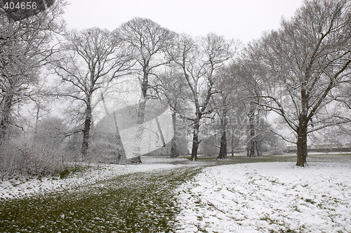 Image of Winter path