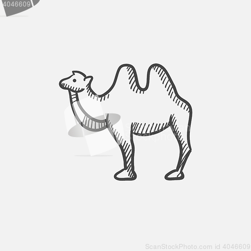 Image of Camel sketch icon.