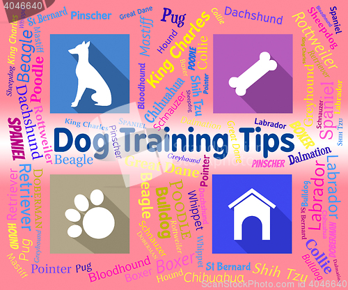 Image of Dog Training Tips Means Coaching Instruction And Pets