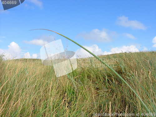 Image of Grass And Sky landscape