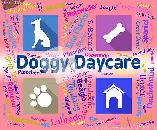 Image of Doggy Daycare Shows Pet Pups And Canines