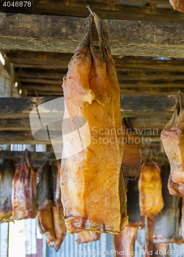 Image of Iceland\'s fermented shark