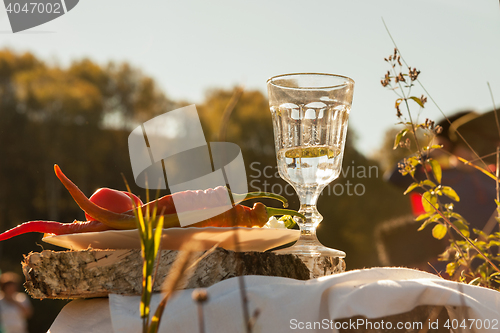 Image of Russian vodka in small glass
