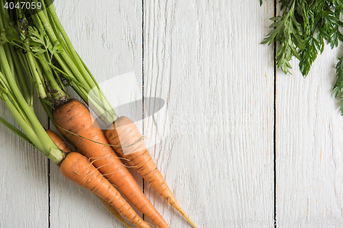 Image of Freshly grown carrots