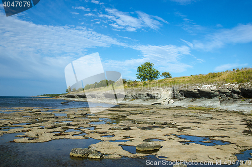 Image of Eroded limestone coast