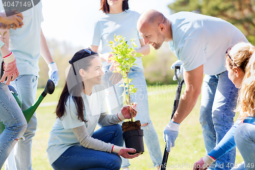 Image of group of volunteers planting tree in park