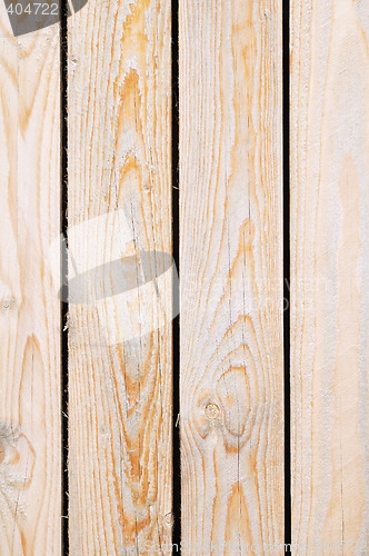 Image of Raw wooden texture