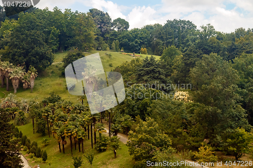 Image of Arboretum of tropical and subtropical plants.