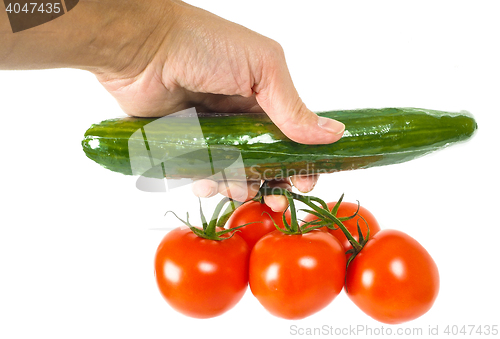 Image of Person holding a cucumber and a bunch of tomatoes