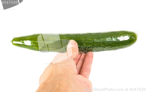 Image of Person holding a cucumber on white