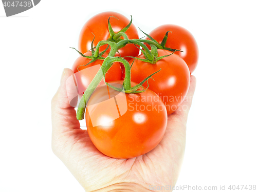 Image of Person holding a bunch of tomatoes