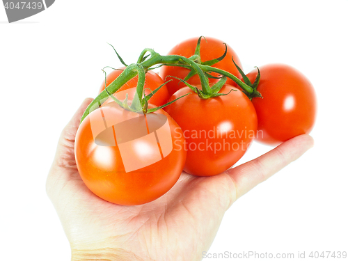 Image of Person holding a bunch of tomatoes