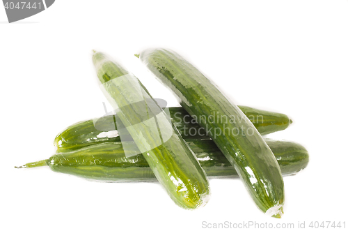 Image of Cucumbers in heat shrink film on white