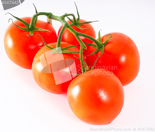 Image of Tomatoes in group, with green stem