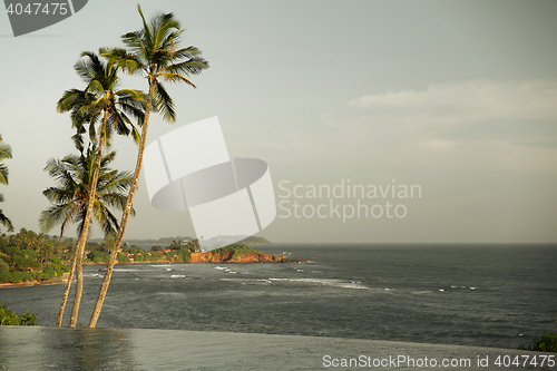 Image of view from infinity edge pool to ocean and palms