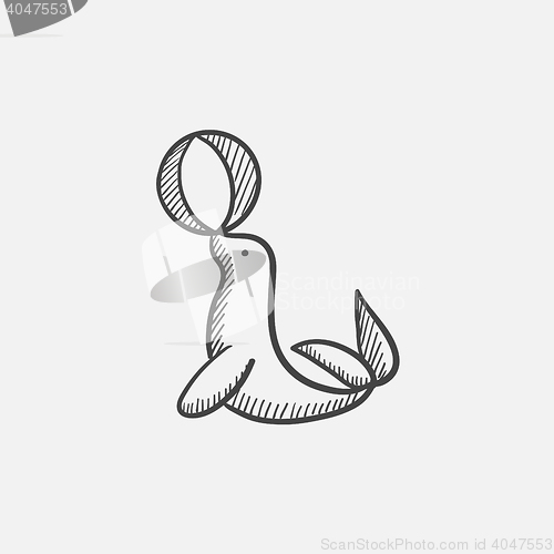 Image of Trained fur seal playing with ball sketch icon.