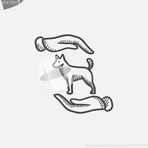 Image of Pet care sketch icon.