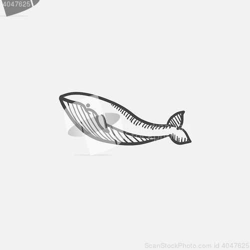 Image of Whale sketch icon.