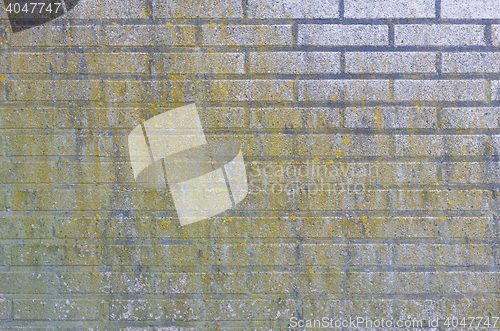 Image of Brick wall.