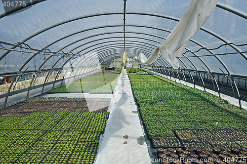 Image of Greenhouse