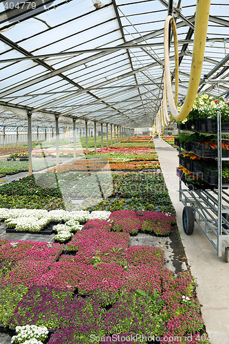 Image of Greenhouse