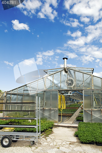 Image of Greenhouse