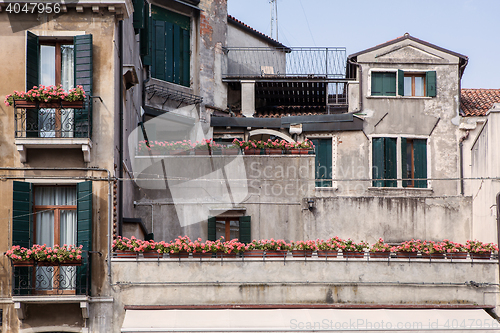 Image of vases with flowers in the middle of the courtyard colorful houses