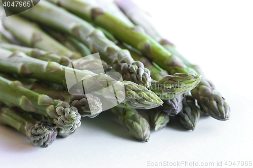 Image of Asparagus against a white background