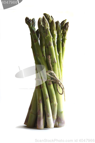 Image of Asparagus against a white background