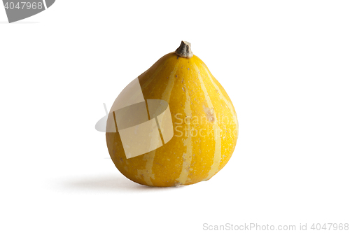 Image of Yellow gourd on white