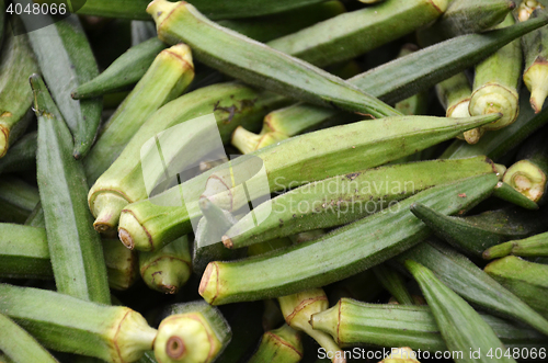 Image of Raw green Okra