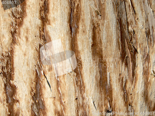 Image of Wood