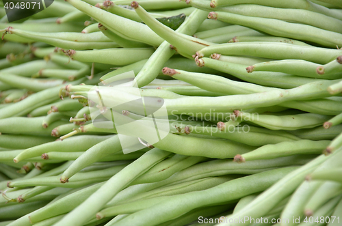 Image of Fresh small, slender wax green beans