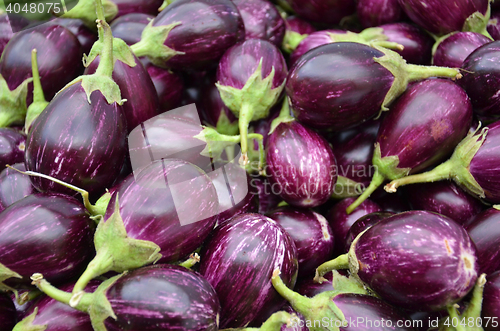 Image of Raw ripe Eggplant 