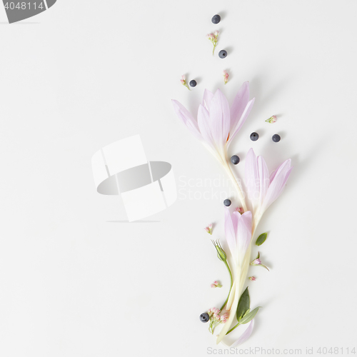 Image of floral frame on a white background