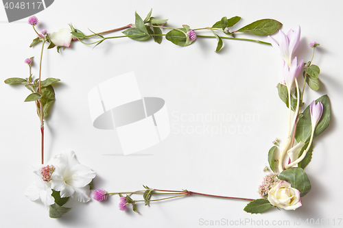 Image of flowers frame in white background isolated