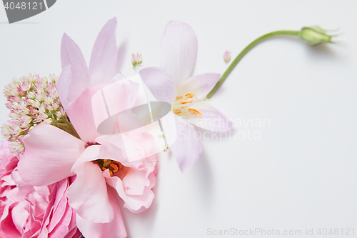 Image of frame pink roses