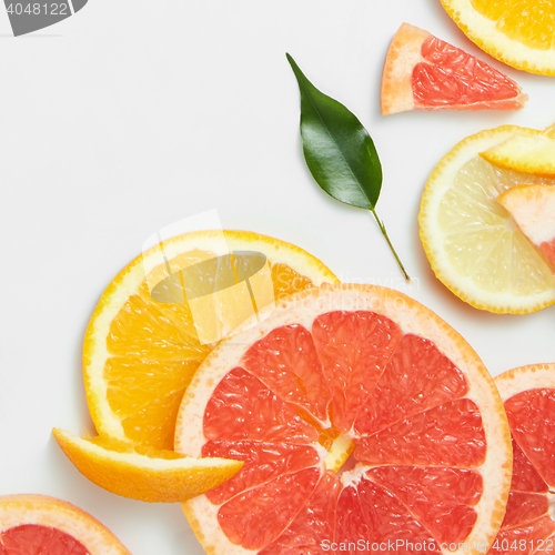 Image of Close up of fresh citrus slices and leaf
