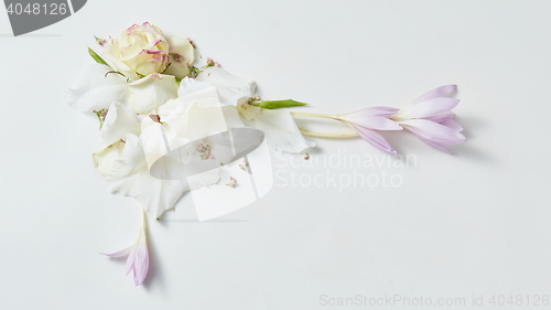 Image of flowers frame in white background