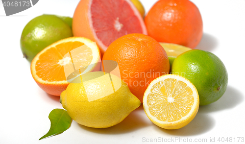Image of citrus fruit with leaves 