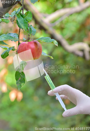 Image of Injecting liquid to red apple using syringe