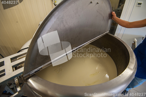 Image of Cheese production at dairy farm