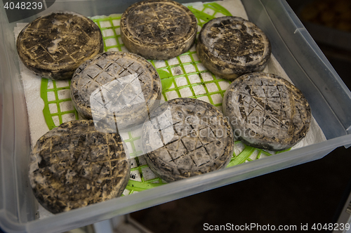 Image of aging cheese heads